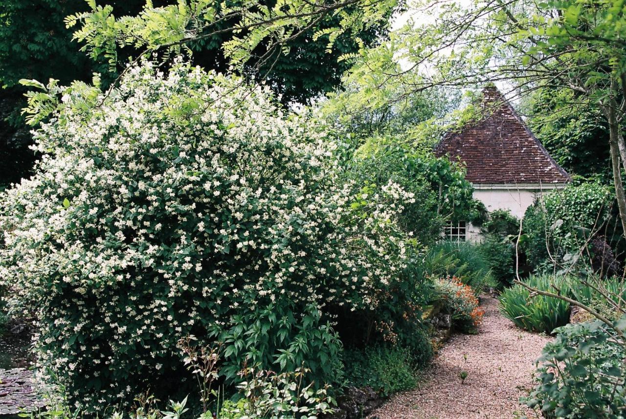 Le Pavillon De Vallet Bed & Breakfast Athee-sur-Cher Bagian luar foto